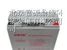 一级代理美国CSTK山特蓄电池6-GFM-17/12V17AH