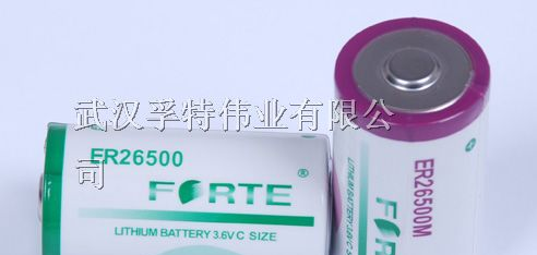 供应3.6V ER26500 C size锂电池