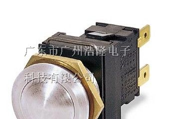 供应Arcolectric抗破坏开关，IP防护等级开关