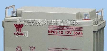 供应九江汤浅蓄电池**无游离酸 现货供应