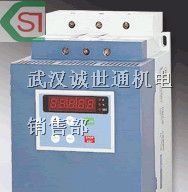 供应雷诺尔RENLE变频器软启动器湖北代理 可选型