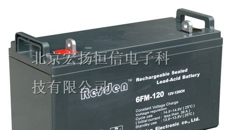 供应雷斯顿电池/美国雷斯顿蓄电池价格