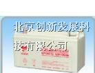 汤浅蓄电池NP65-12V汤浅蓄电池65AH(12V)