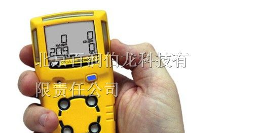 供应加拿大bw气体检测仪，便携式四合一气体检测仪