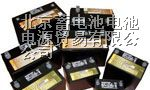 朔州直达大力神蓄电池|漯河大力神蓄电池|