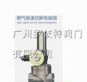 供应进口燃气电磁阀 进口天然气电磁阀