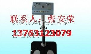SL031双脚人体综合测试仪