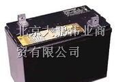 供应天津UPS电源-天津河西区销售大力神蓄电池