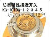 防爆磁性开关、KG1010G-1-23、KG1010G-2-23