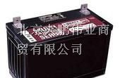 供应大力神电池-大力神蓄电池-大力神蓄电池报价