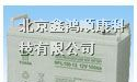 供应遵义汤浅蓄电池/遵义汤浅蓄电池代理