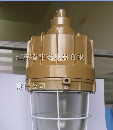 供应 BAD83防爆无极灯 工厂防爆灯 全国