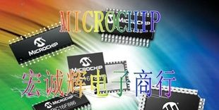 Microchip单片机 PIC18F2550-I/SO