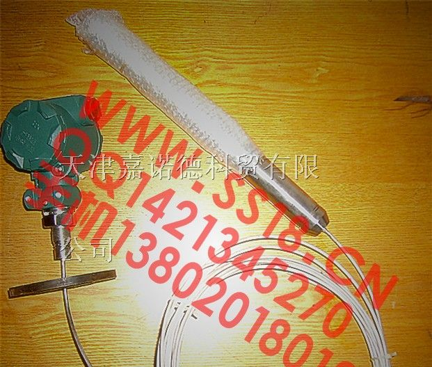 供应防腐式投入式液位计投入式物位计