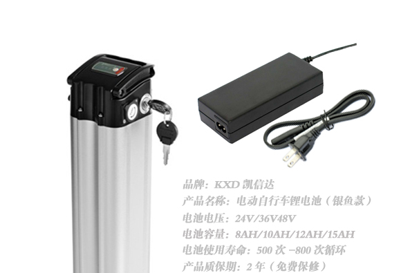 供应电动自行车车锂电池(银鱼款）48V12Ah