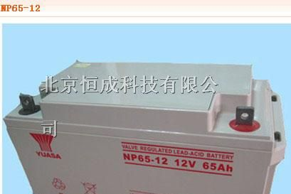 供应南昌广州汤浅蓄电池价格 广州汤浅蓄电池报价