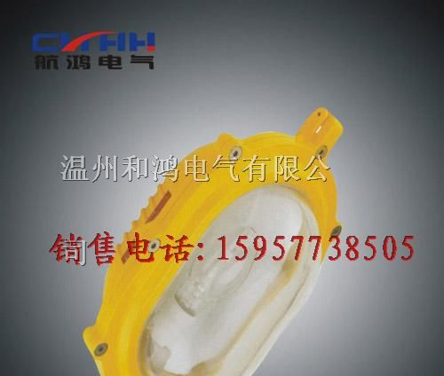 _CBFC8120内场防爆强光泛光灯//CBFC8120-J150