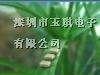 供应电源常用高压贴片电容1206/1210/1812/系列