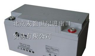 高性能GFMJ圣阳蓄电池，铅酸免维护圣阳蓄电池