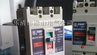 供应RMM1L-100漏电断路器