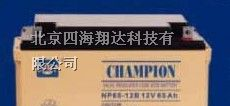 供应广东蓄电池价格蓄电池北京专卖促销