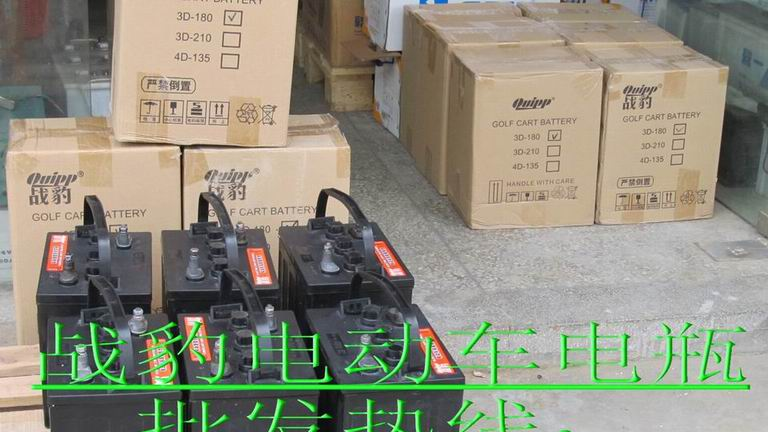 电动车电瓶批发，战豹牌电动车电池