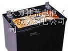 大力神蓄电池|（山东）大力神总代理|大力神电池价格