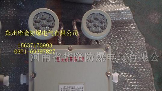 供应BAJ52系列防爆应急灯，双头应急灯