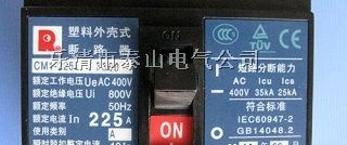 供应CM1L-225H漏电断路器