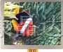 供应液晶屏AG320240A4FICW59H