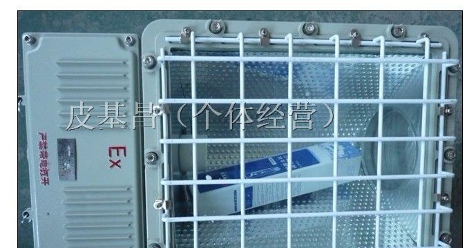 防爆泛光灯,BAT53-L250，BAT53