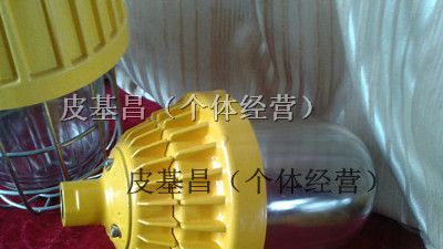 防爆平台灯,BPC8720-J150，BPC8720
