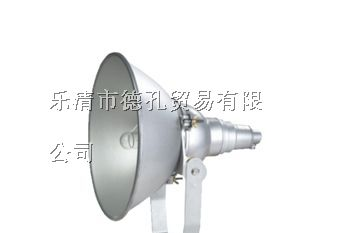 防震投光灯,NTC9210-J250，NTC9210