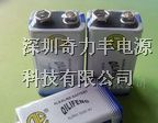 供应：6LR61 9V碱性环保电池