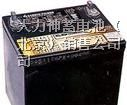 北京大力神蓄电池总代理