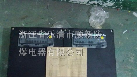 供应防水照明配电箱，防腐配电箱，防爆按钮盒