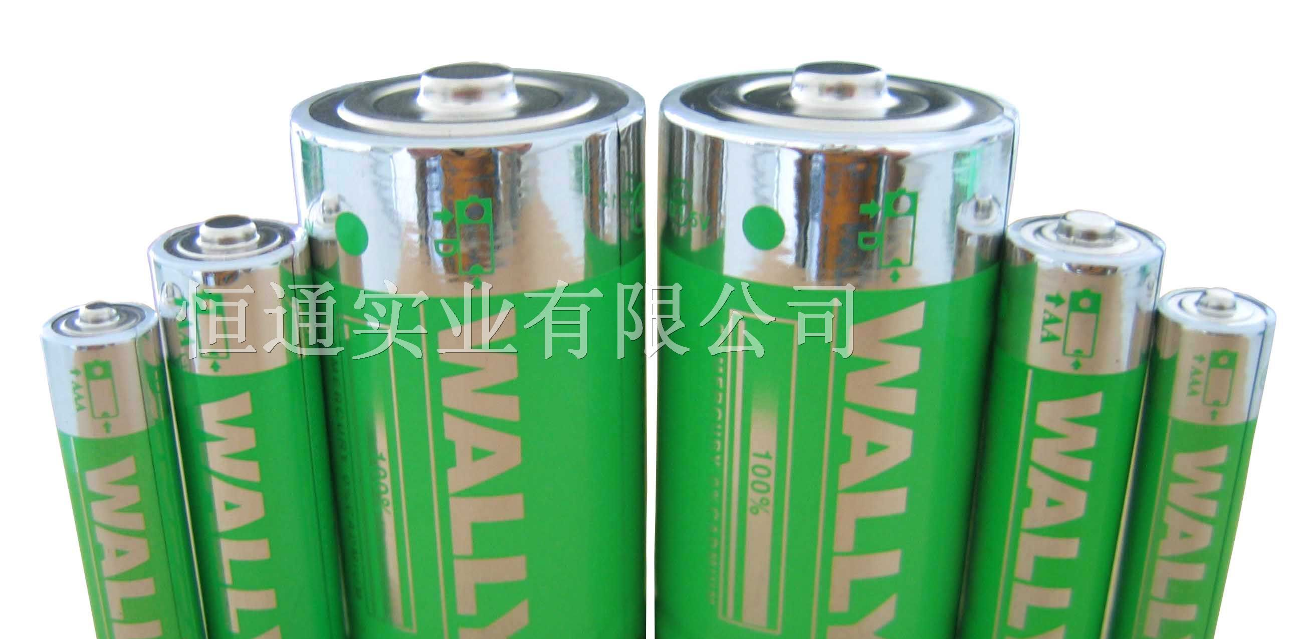 供应湖南热水器大号干电池