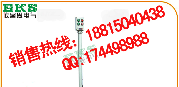 BZC51-10S-A2D2B1K1L防爆操作柱(立式、挂式