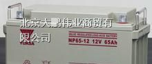 供应松下蓄电池-汤浅蓄电池 实验室选用UPS电池