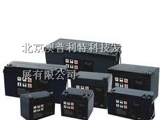M2AL100-12|M2AL65-12|梅兰日兰蓄电池