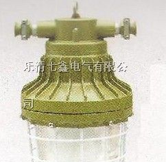 供应防爆无极灯 矿用无极灯 DGS55/127W(A)