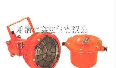 供应ＤＧＣ１７５/１２７Ｂ矿用隔爆型投光灯