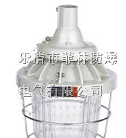 供应CCD隔爆型防爆灯