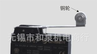 RENEW兰鸟微动开关RZ-15GW2S-B3