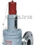 供应进口液化气安全阀