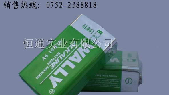 供应高能环保6LR619V碱性电池,9V干电池