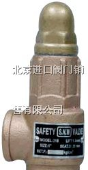 供应进口安全阀、台湾安全阀、SNW安全阀
