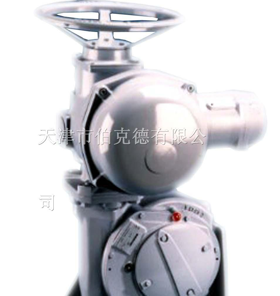 供应as-25z电动执行器