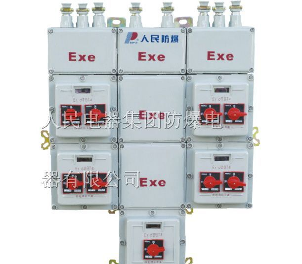BXM51,BXD51,防爆配电箱  BXM51,BXD51-BXM51 BXD51