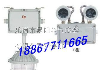 供应防爆应急两用灯，BAJ52防爆应急灯，防爆应急灯